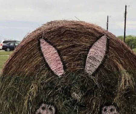 Anna Country RV Ranch