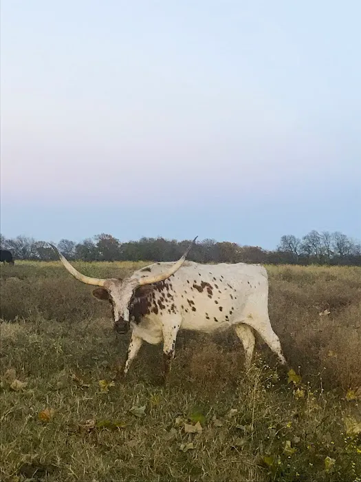 Anna Country RV Ranch Picture 8