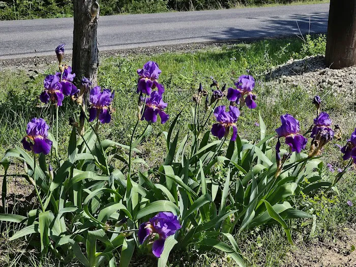 NamaStay Hideaway Picture 8