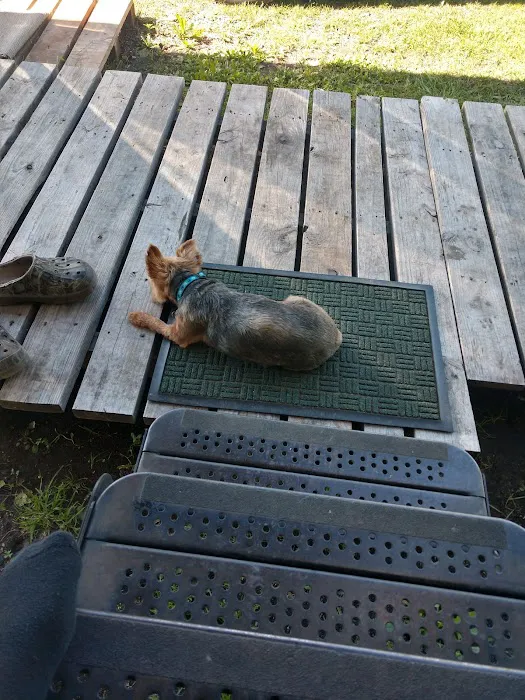 Melody Ranch RV Park Picture 6