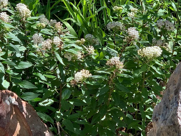 Crossroads Mobile Home and RV Community Picture 2