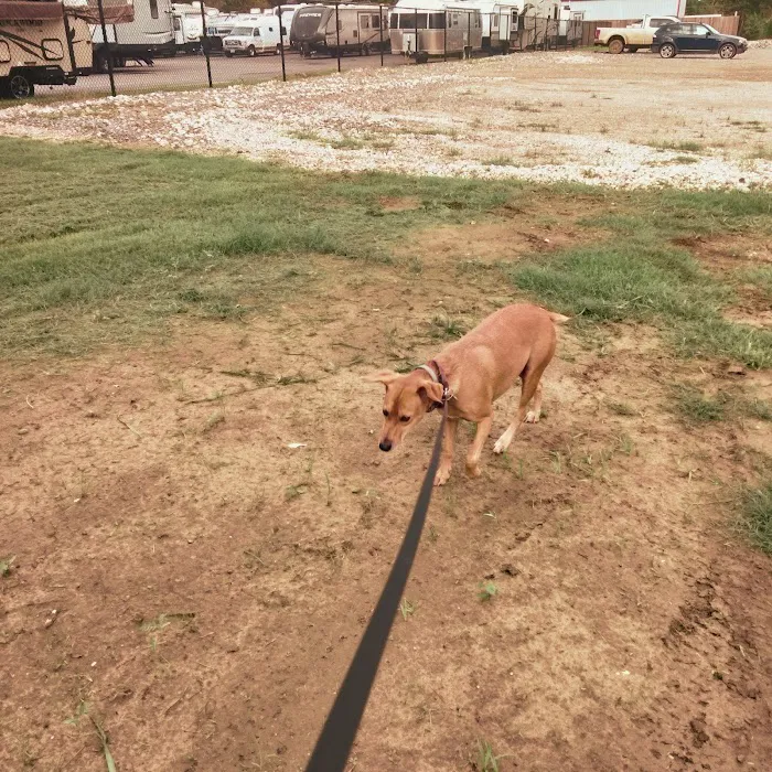 Lazy L RV Park Picture 4