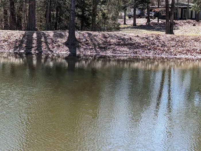 Shady Oaks Resort - RV Full Hookups, Cabins & Guest Lodge Picture 2