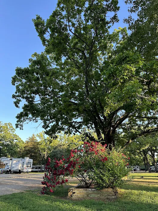 Shady Oaks Resort - RV Full Hookups, Cabins & Guest Lodge Picture 3