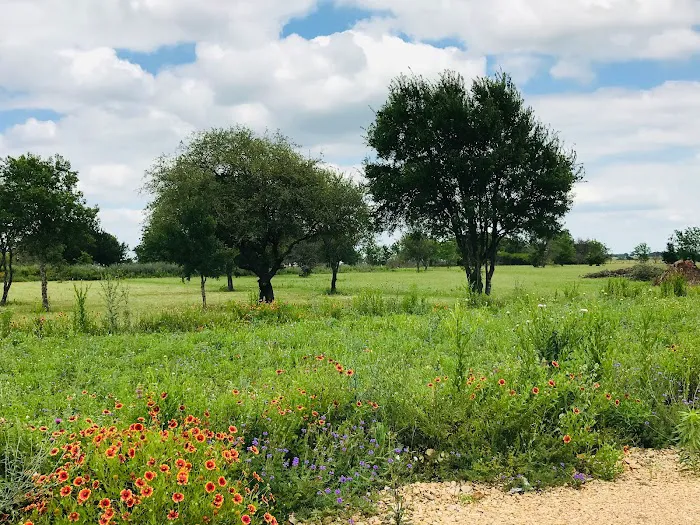 Shining Star RV Park Picture 9