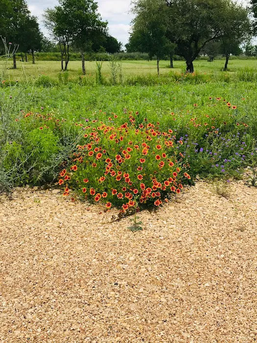 Shining Star RV Park Picture 4