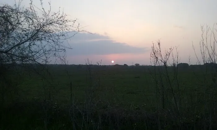 Lakeview Mobile Home Park Picture 2