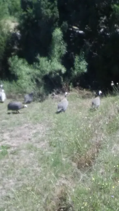 Happy Campers RV Park Picture 5