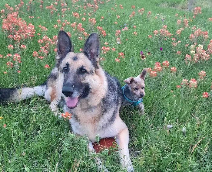 Sonny's RV Park Picture 8