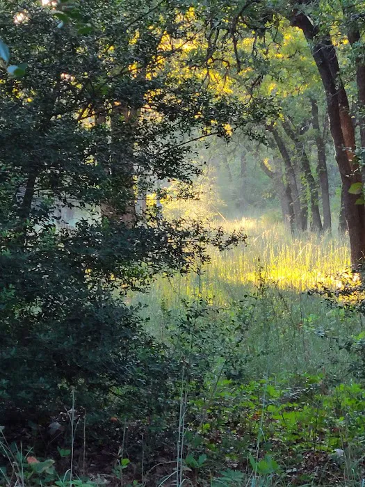 Shady Grove RV Park Picture 9