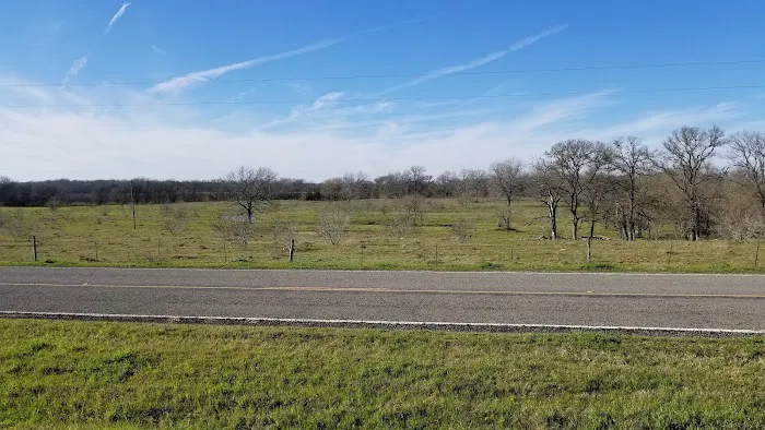 Downtown Texas RV Park Picture 5