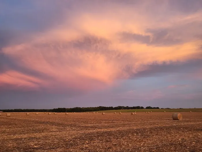 Downtown Texas RV Park Picture 6