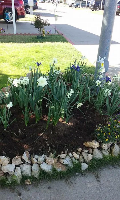 Lexington Place Picture 1