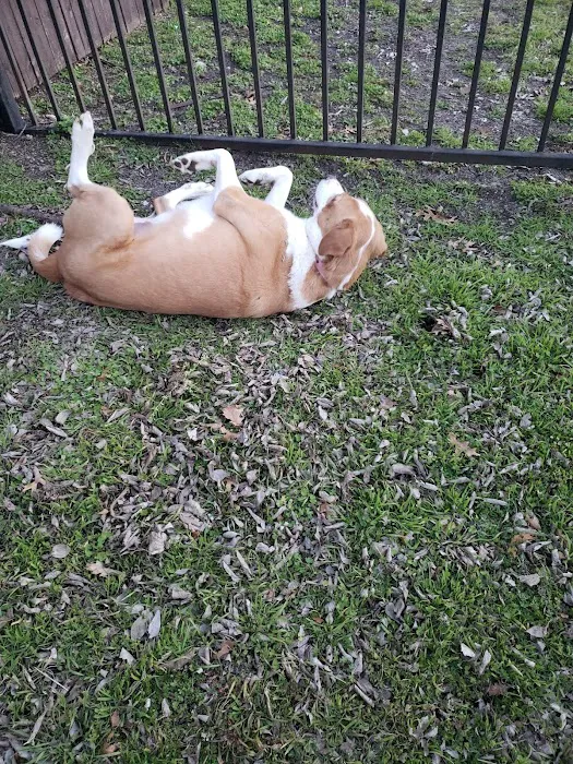 Lexington Place Picture 9