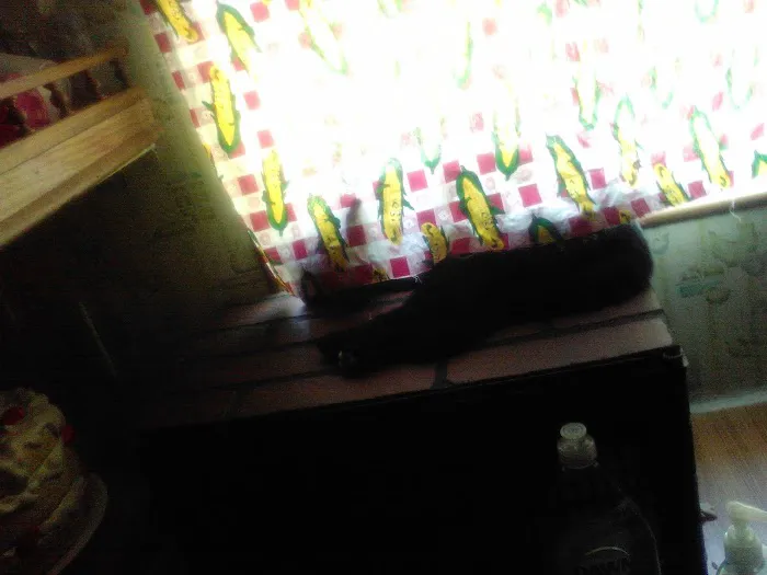 Texas Garden Mobile Home Community Picture 6