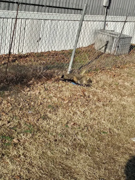 Texas Garden Mobile Home Community Picture 8