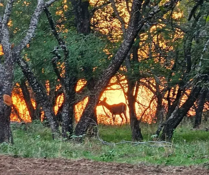 Flatrock on the Brazos Picture 9