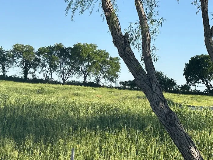 LZK campsites Picture 1