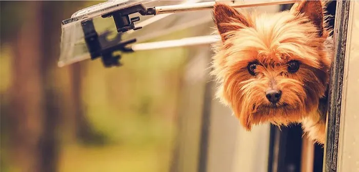 The Retreat at Shady Creek Picture 2