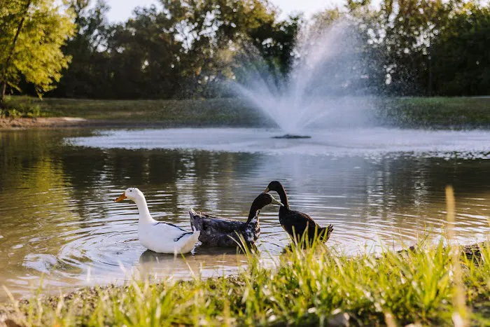 Sugar Hill RV Resort Picture 7