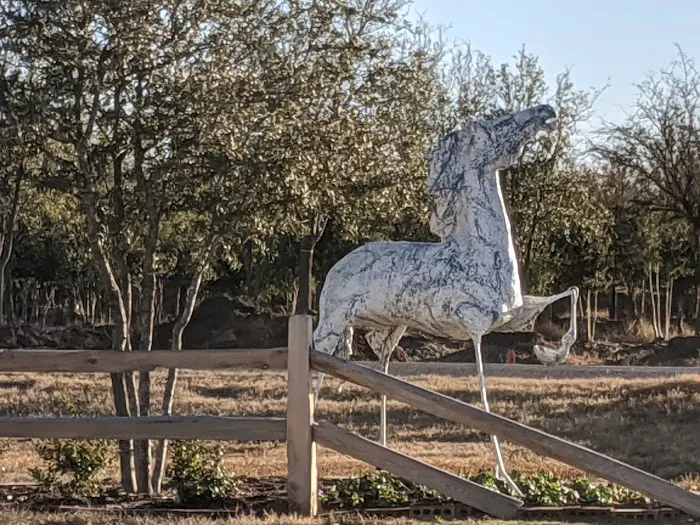 Mustang RV Park Picture 4