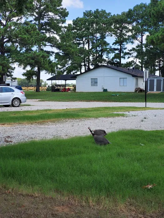 Country Pines RV Park Picture 6