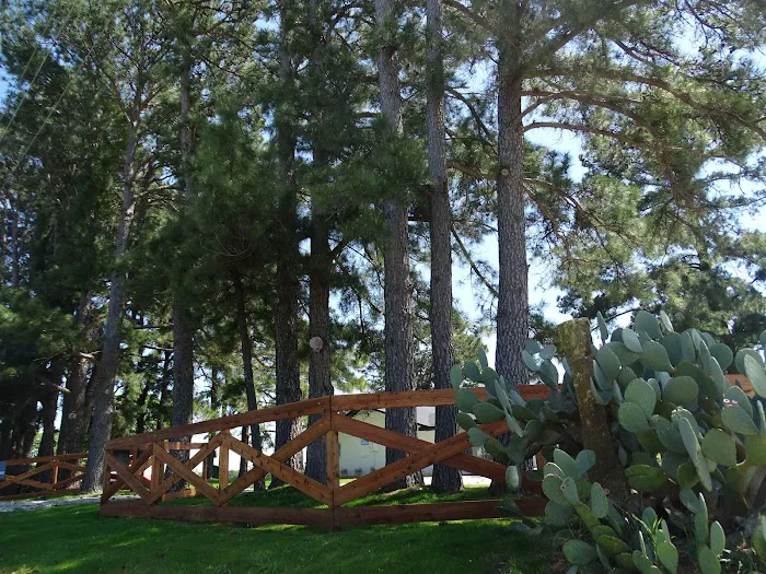 Country Pines RV Park Picture 1