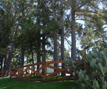 Country Pines RV Park