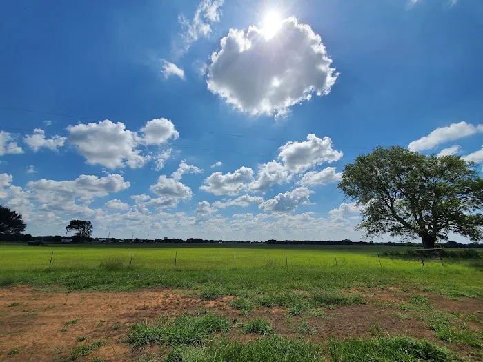 Country Pines RV Park Picture 5