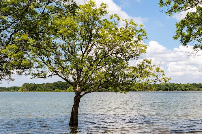 Waterfront Hideaway Ranch RV Park Picture 6