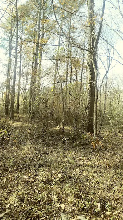 Dixon Manor Mobile Home Park Picture 5