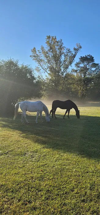 Harrington RV sites Picture 5