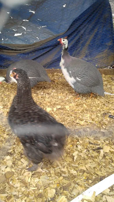 Southern Pines Mobile Home Park Picture 10