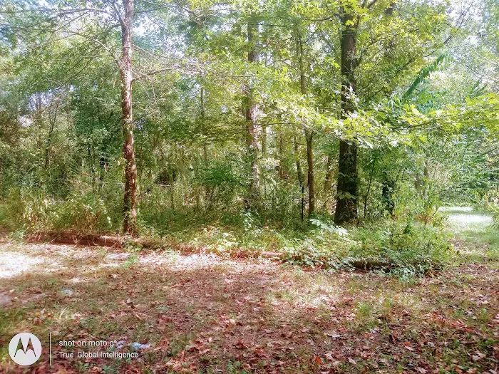 Sunset Village Picture 4