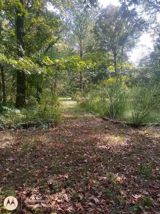 Sunset Village Picture 6