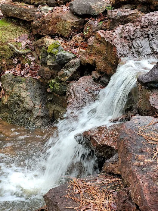 Cherokee Lakes RV Park Picture 6