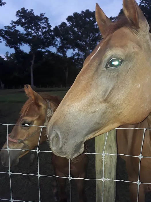 Glory RV Park Picture 7