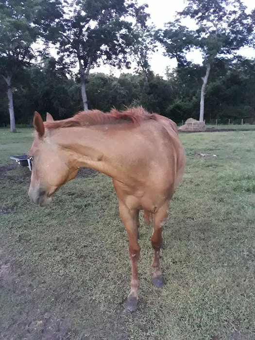 Glory RV Park Picture 6