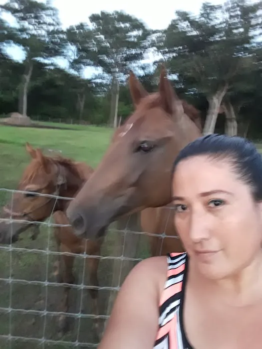 Glory RV Park Picture 9