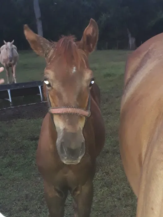 Glory RV Park Picture 2