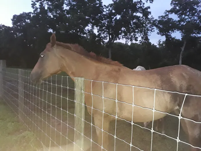 Glory RV Park Picture 5