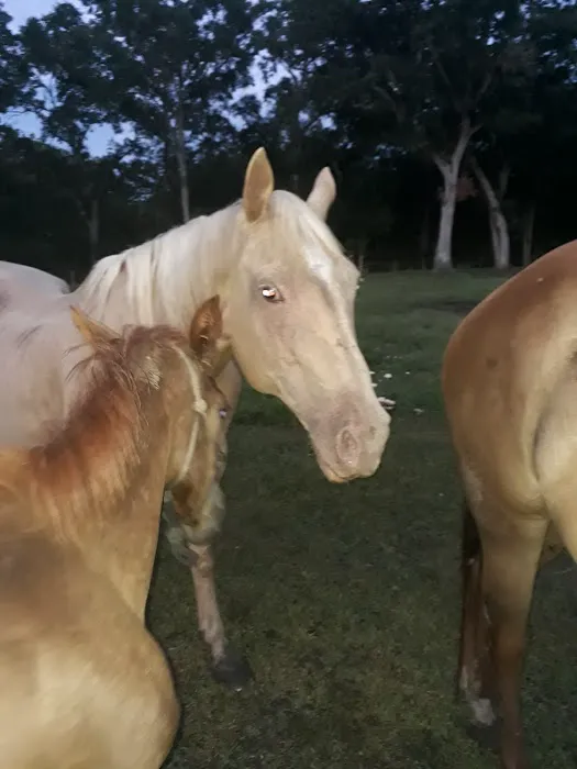 Glory RV Park Picture 8