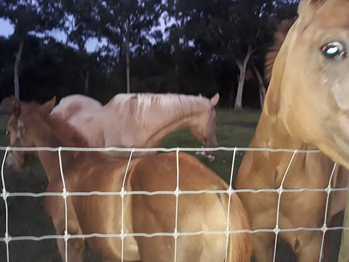 Glory RV Park Picture 3