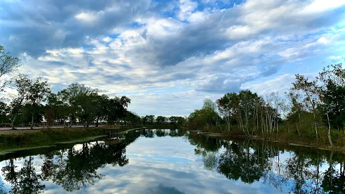 Platinum RV Park & Resort Picture 3