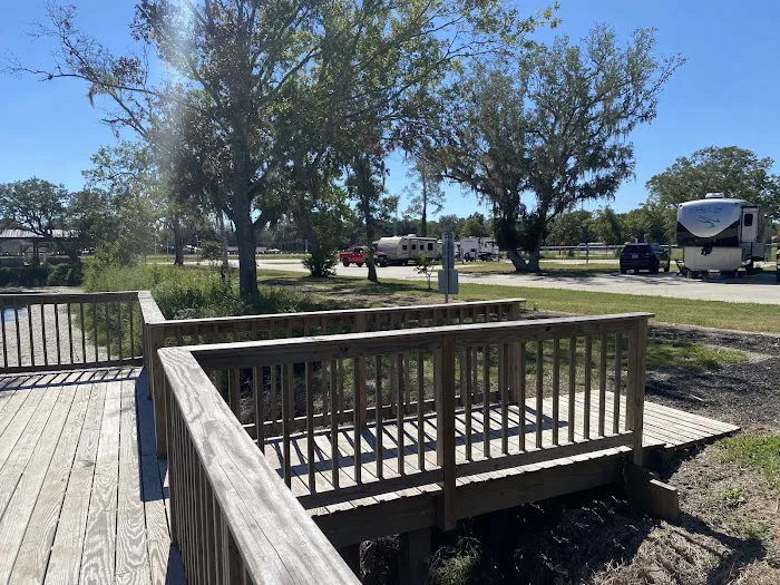 Platinum RV Park & Resort Picture 4