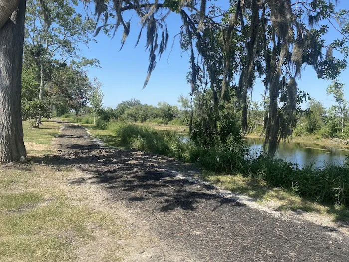 Platinum RV Park & Resort Picture 2