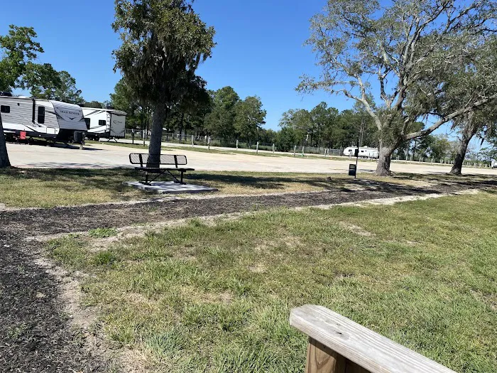 Platinum RV Park & Resort Picture 9