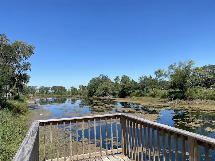 Platinum RV Park & Resort Picture 5