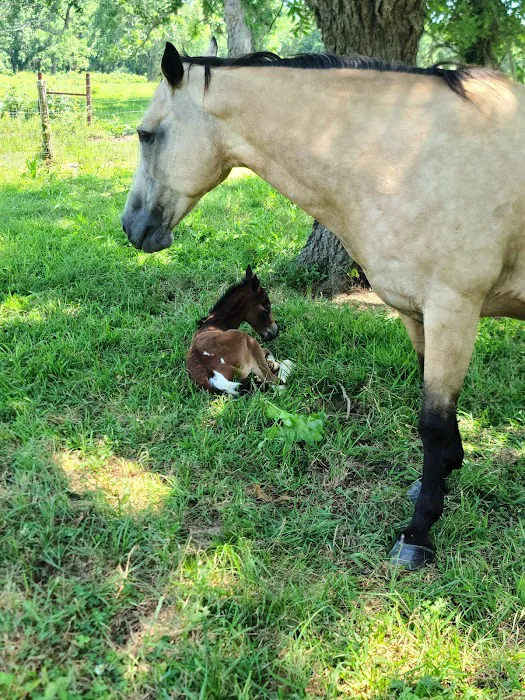 Home Away from Home RV Spot Picture 6