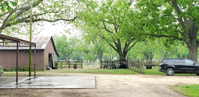 Home Away from Home RV Spot Picture 8